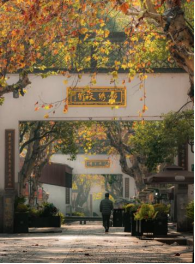 Hefang Street View 2